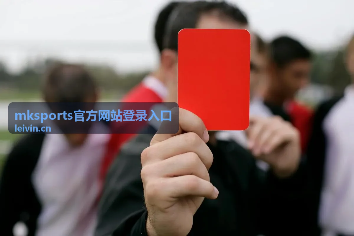 mksports官方网站登录入口通道页面示意