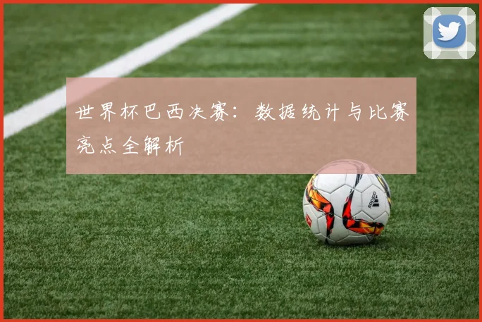 世界杯巴西决赛：数据统计与比赛亮点全解析