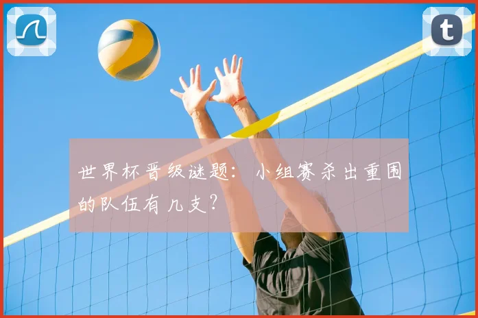 世界杯晋级谜题：小组赛杀出重围的队伍有几支？