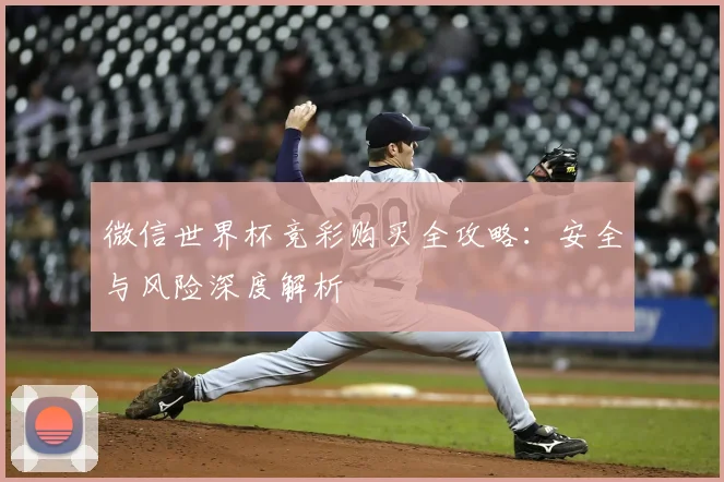 微信世界杯竞彩购买全攻略：安全与风险深度解析