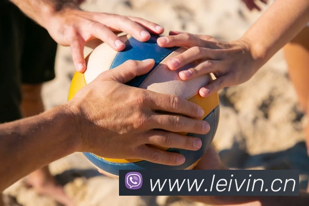 App Interface Preview